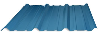 R Panel