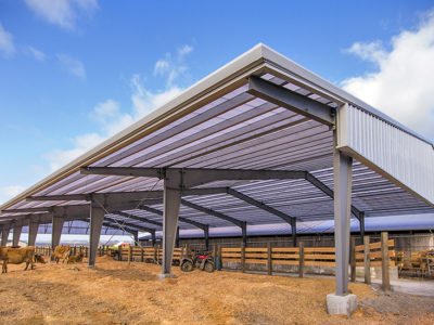Steel Dairy Farm Building