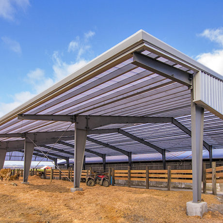 Steel Dairy Farm Building