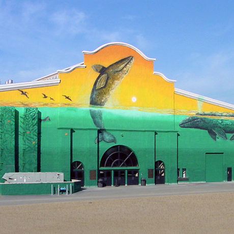 Fairgrounds Multi-Use Steel Building