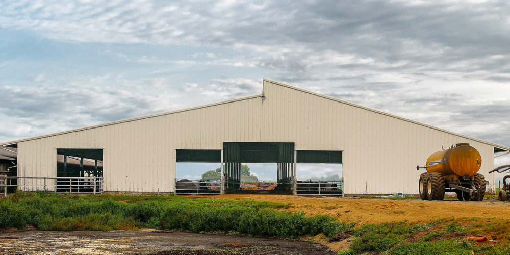 Livestock Dairy Barn - Galvanized Steel - Clerestory - Asymmetrical Design