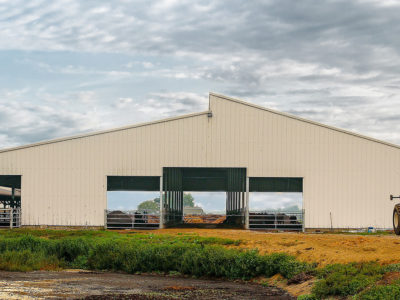 Livestock Dairy Barn - Galvanized Steel - Clerestory - Asymmetrical Design